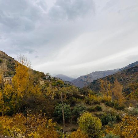 El Hogar De Mercedes Guejar Sierra Luaran gambar