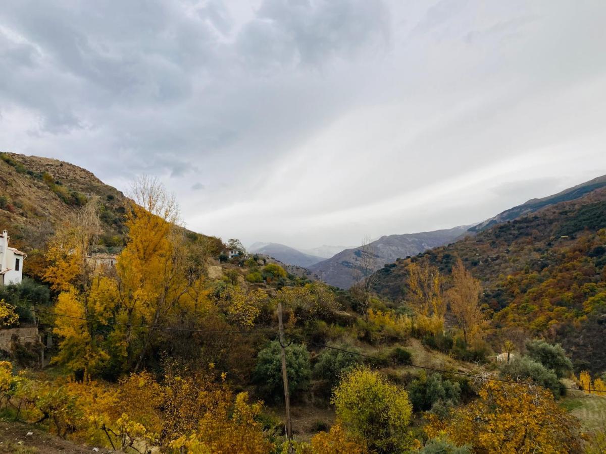 El Hogar De Mercedes Guejar Sierra Luaran gambar
