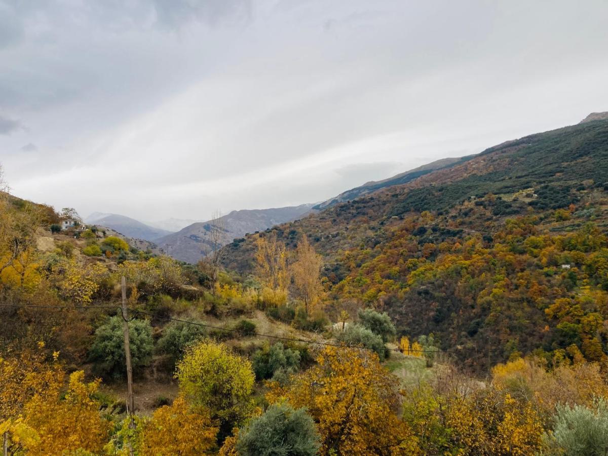 El Hogar De Mercedes Guejar Sierra Luaran gambar